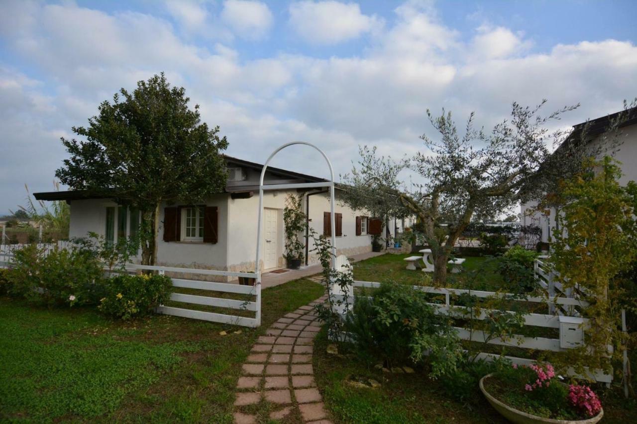 Oasi Di Francesca B&B Pontinia Exterior photo